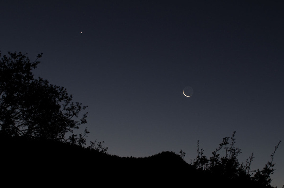 1229 Crescent Moon & Venus, Oakhurst, CA.jpg