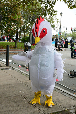 OCT_3902w