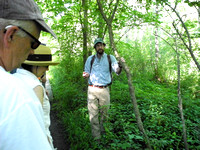 Salem Woods Tree ID and Forest Ecology Walk- 7/12/14